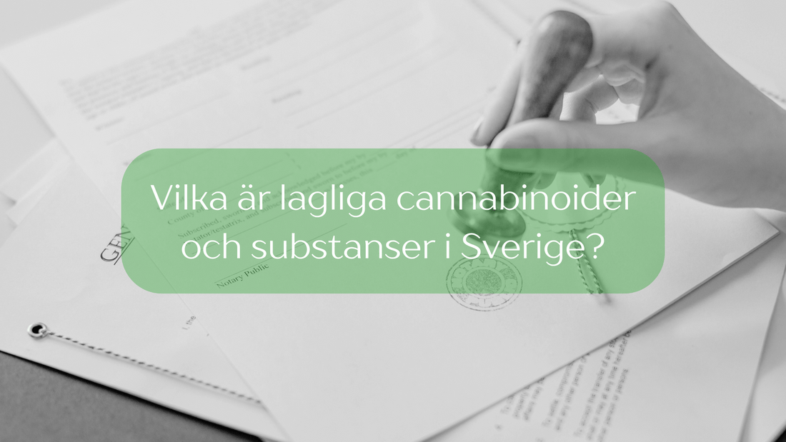Vilka är lagliga cannabinoider och substanser i Sverige?