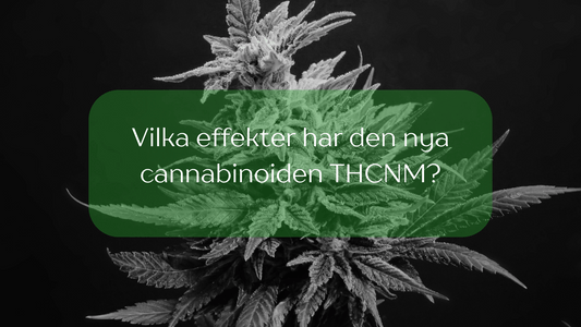 Vilka effekter har den nya cannabinoiden THCNM?
