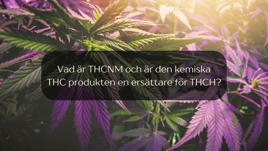 Vad är THCNM? Är den laglig och vilken effekt har cannabinoiden?